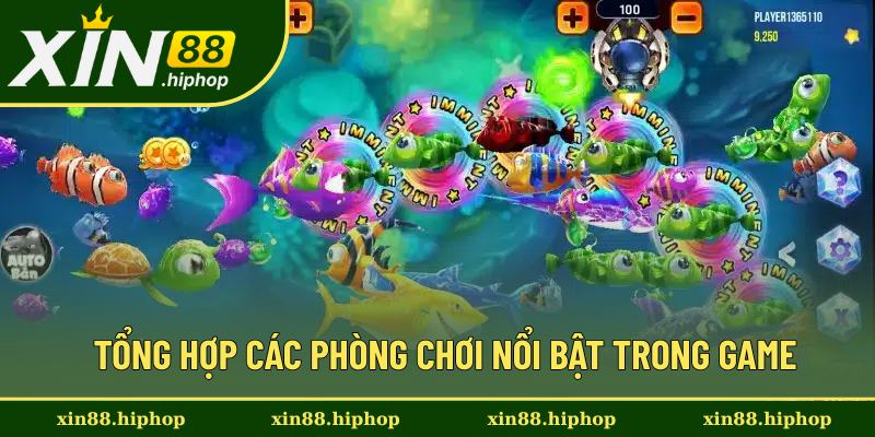 Bật mí 3 phòng săn cá H5 hấp dẫn