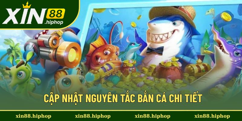 Vua Hải Tặc XIN88 - Trải Nghiệm Cảm Giác Cá Cược Thả Ga 2 Những phương thức săn thưởng hữu ích