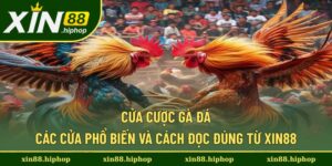 cửa cược gà đá