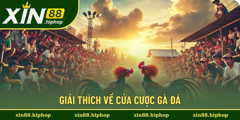 Cửa Cược Gà Đá - Các Cửa Phổ Biến Và Cách Đọc Đúng Từ Xin88 1 Định nghĩa rõ ràng về cửa cược trong đá gà