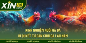 kinh nghiệm nuôi gà đá