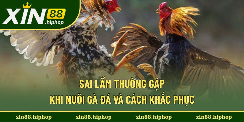 Sai lầm cần tránh trong giúp nuôi gà hiệu quả