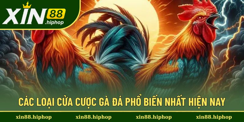 Cửa Cược Gà Đá - Các Cửa Phổ Biến Và Cách Đọc Đúng Từ Xin88 2 Một số cửa cược gà đá phổ biến trong nhà cái