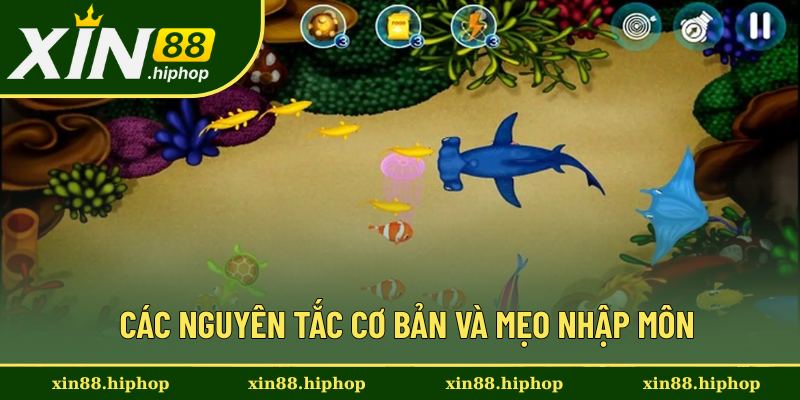 Chia sẻ kinh nghiệm chơi bắn cá cơ bản nhất