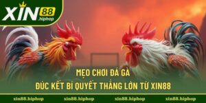 Mẹo Chơi Đá Gà Hiệu Quả Từ Cao Thủ – Bí Quyết Thắng Lớn