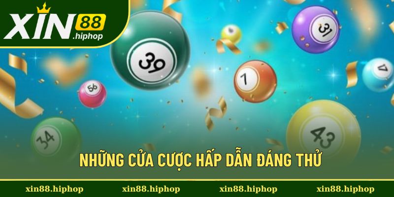 Cập nhật những loại hình đặt cược hấp dẫn Cập nhật những loại hình đặt cược hấp dẫn