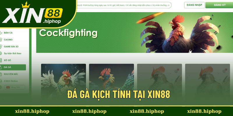Tận hưởng trận đấu chiến kê đỉnh cao