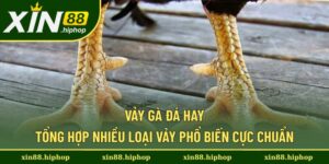 vảy gà đá hay